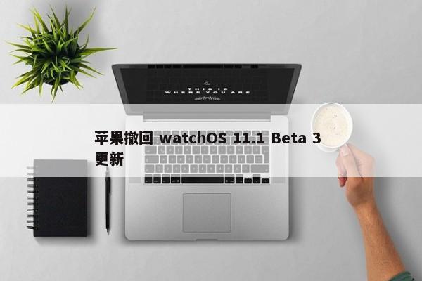 苹果撤回 watchOS 11.1 Beta 3 更新