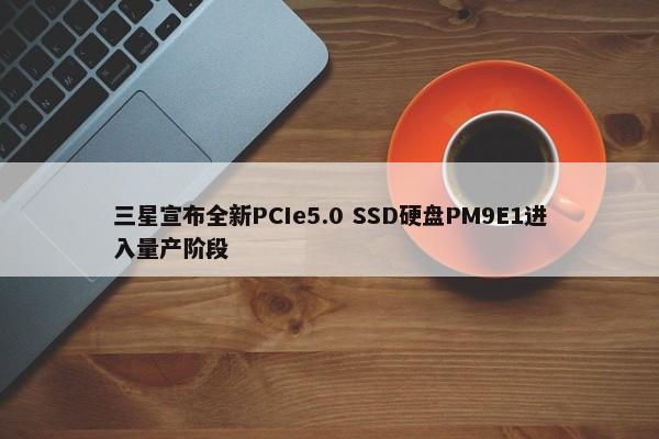 三星宣布全新PCIe5.0 SSD硬盘PM9E1进入量产阶段