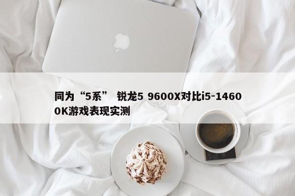 同为“5系” 锐龙5 9600X对比i5-14600K游戏表现实测