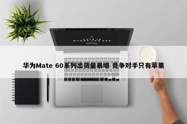 华为Mate 60系列出货量暴增 竞争对手只有苹果