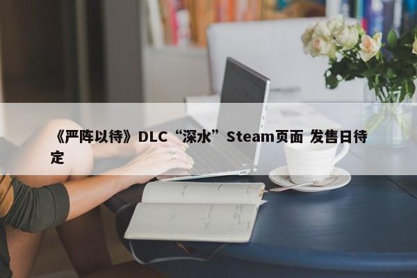 《严阵以待》DLC“深水”Steam页面 发售日待定