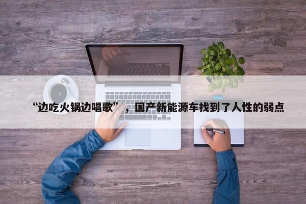 “边吃火锅边唱歌”，国产新能源车找到了人性的弱点