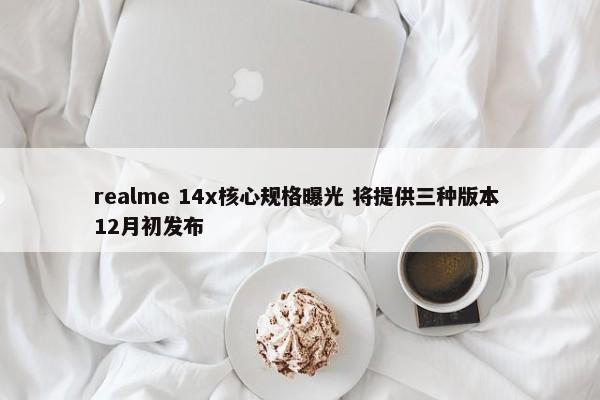 realme 14x核心规格曝光 将提供三种版本 12月初发布