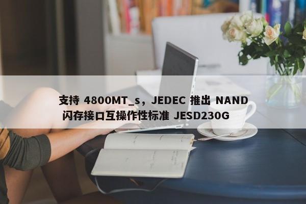 支持 4800MT_s，JEDEC 推出 NAND 闪存接口互操作性标准 JESD230G