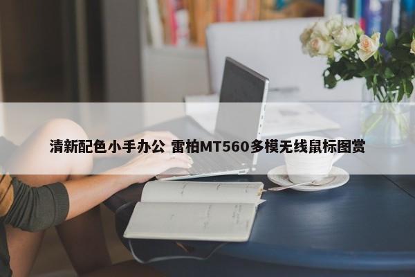 清新配色小手办公 雷柏MT560多模无线鼠标图赏