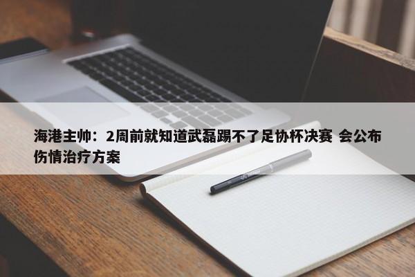 海港主帅：2周前就知道武磊踢不了足协杯决赛 会公布伤情治疗方案