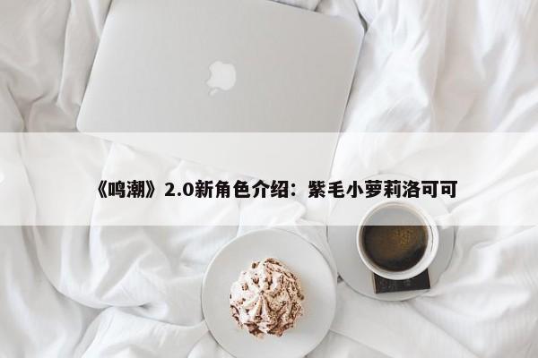 《鸣潮》2.0新角色介绍：紫毛小萝莉洛可可